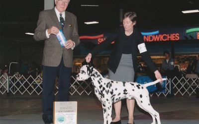 A New Champion at Bellwether