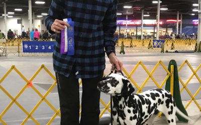 A New Bellwether Champion!