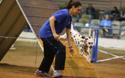A LIFE of agility accomplishments!