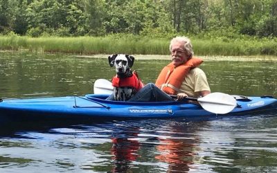 Dog Days of Summer!