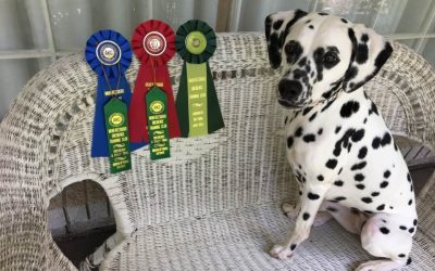 A Rally Title for Spring!