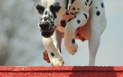 Spring forward!