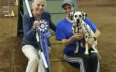 Julie and Spring earn the MACH!