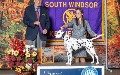 A New Champion at Bellwether!