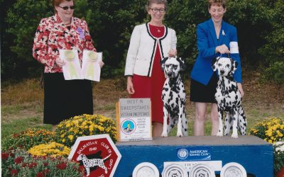 We had the “Best” time at DCSNE Specialty Show!