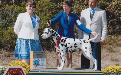 DCSNE Specialty Show 2016
